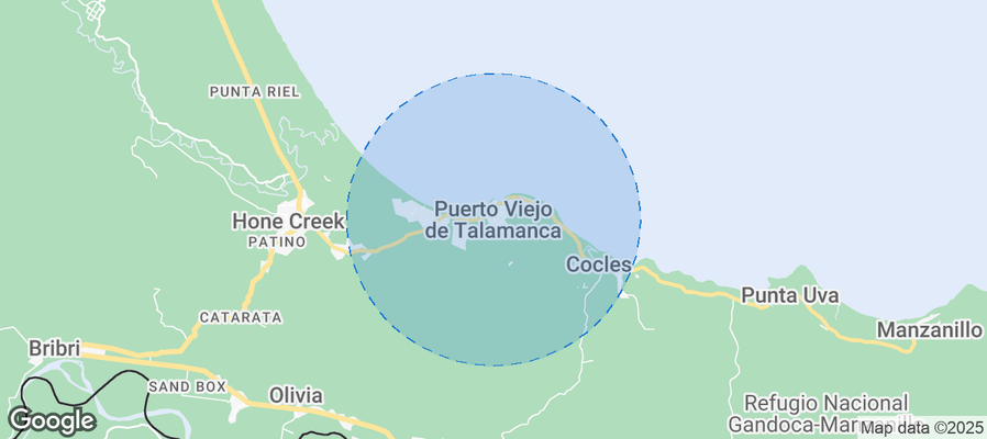 Discover Puerto Viejo de Talamanca Airbnb Analytics